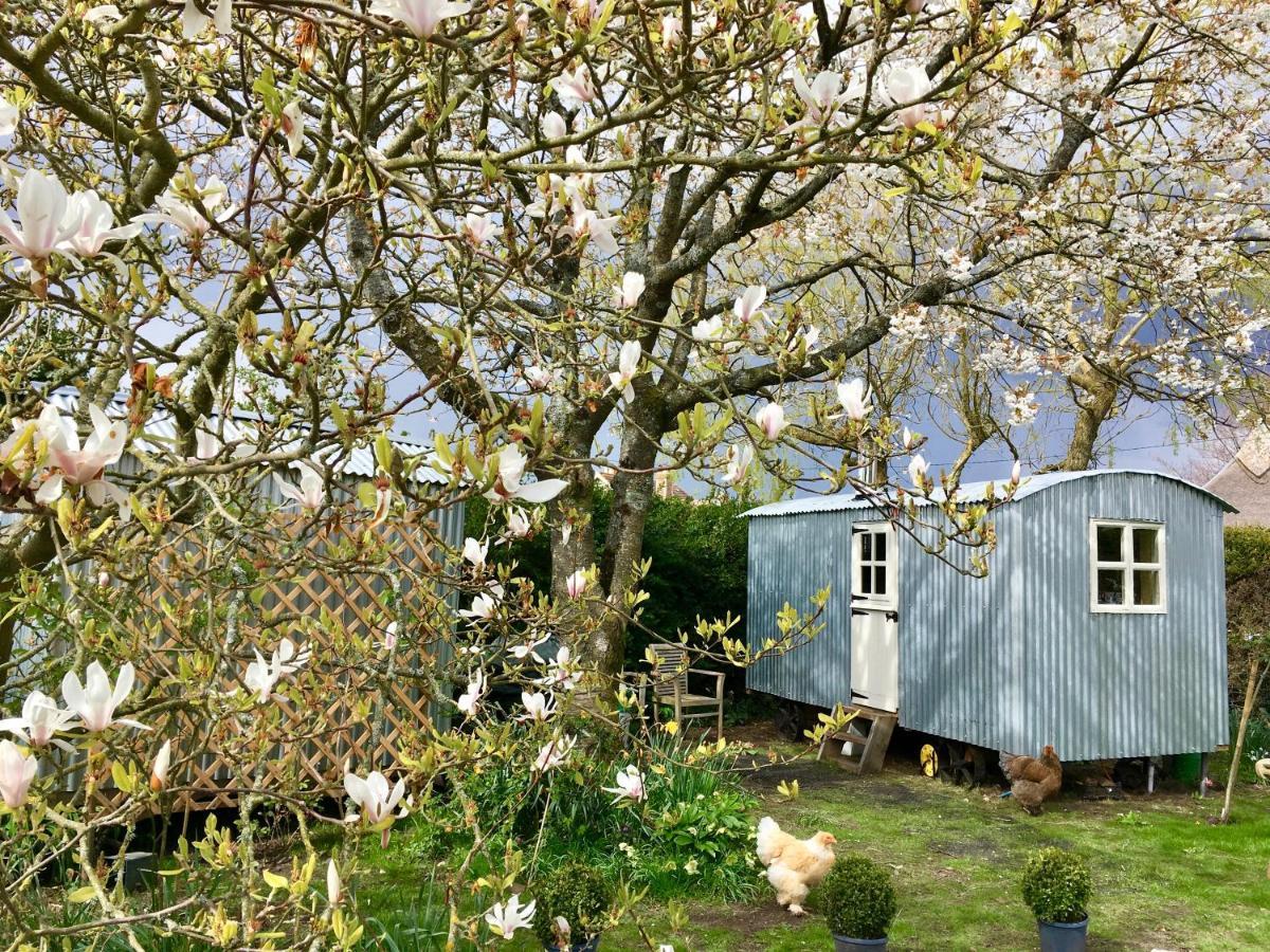 The Wayside Shepherd Hut Beaulieu Exterior photo