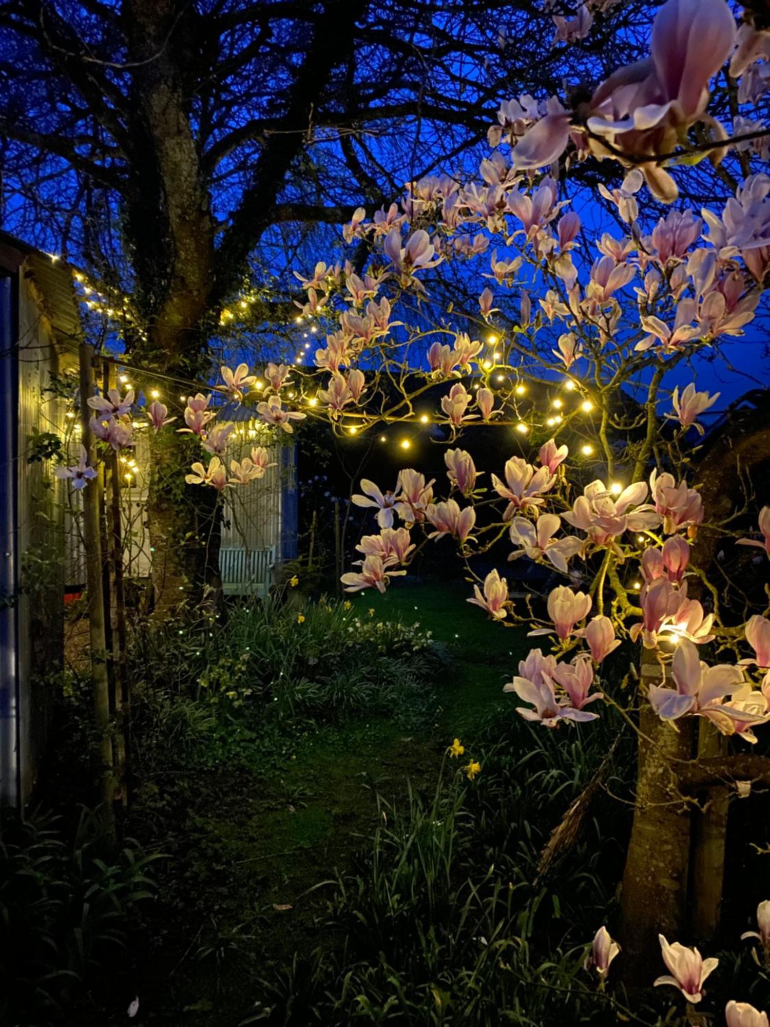 The Wayside Shepherd Hut Beaulieu Exterior photo
